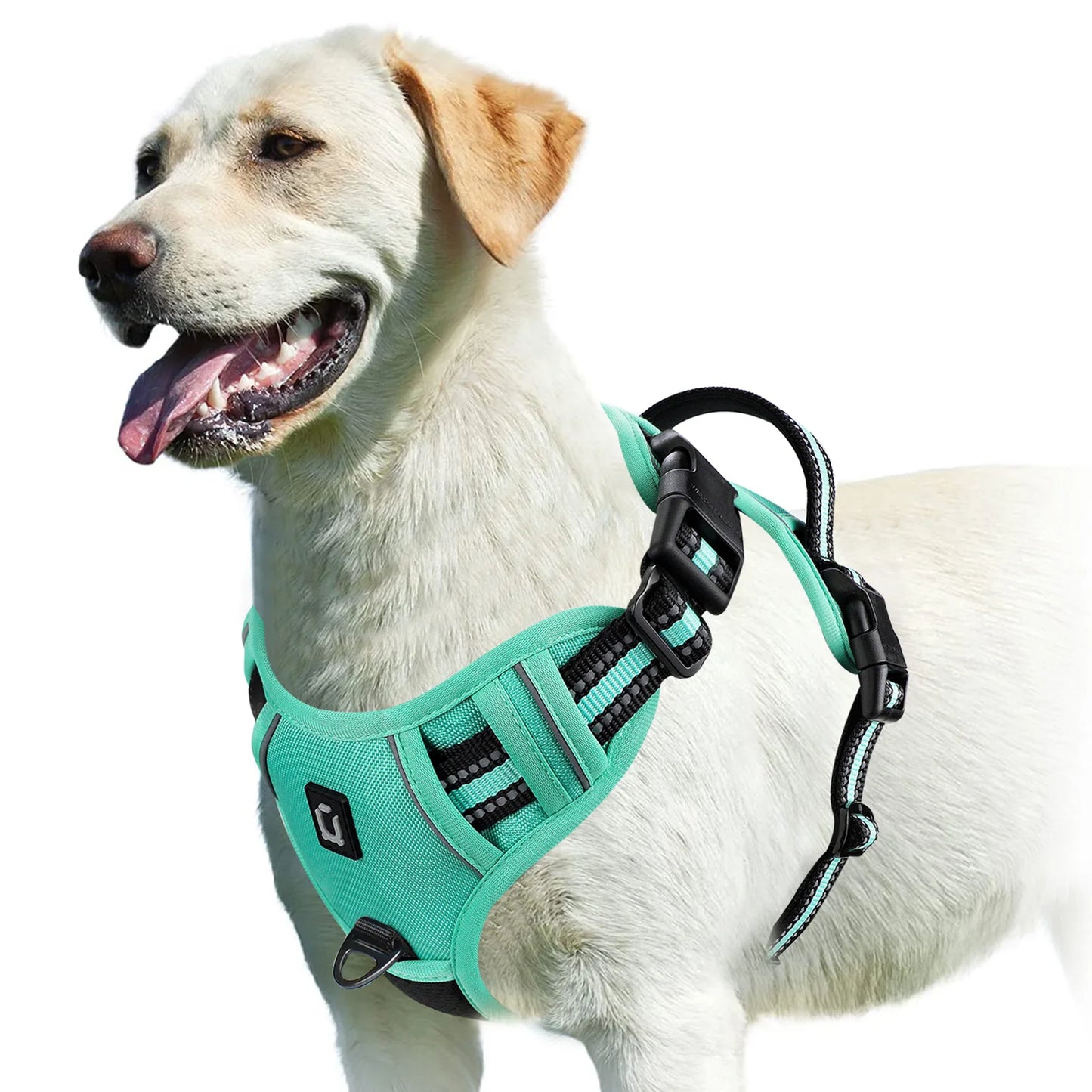 Adjustable No-Pull Dog Training Harness