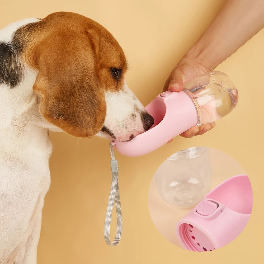 Travel Water Bottles
