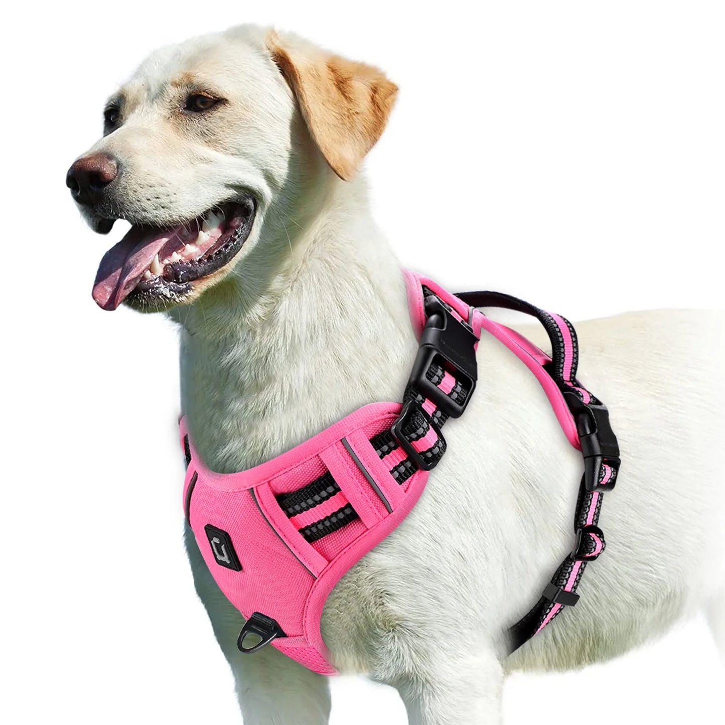 Adjustable No-Pull Dog Training Harness