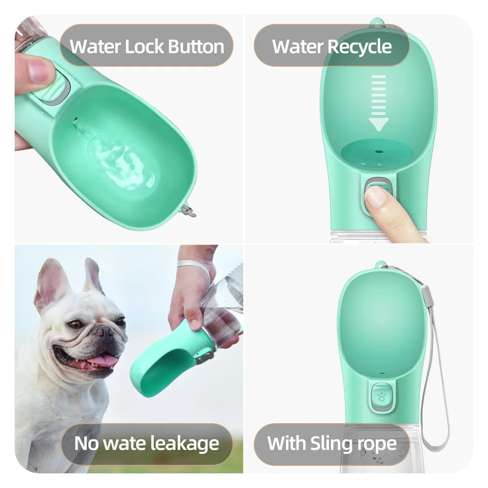 Travel Water Bottles