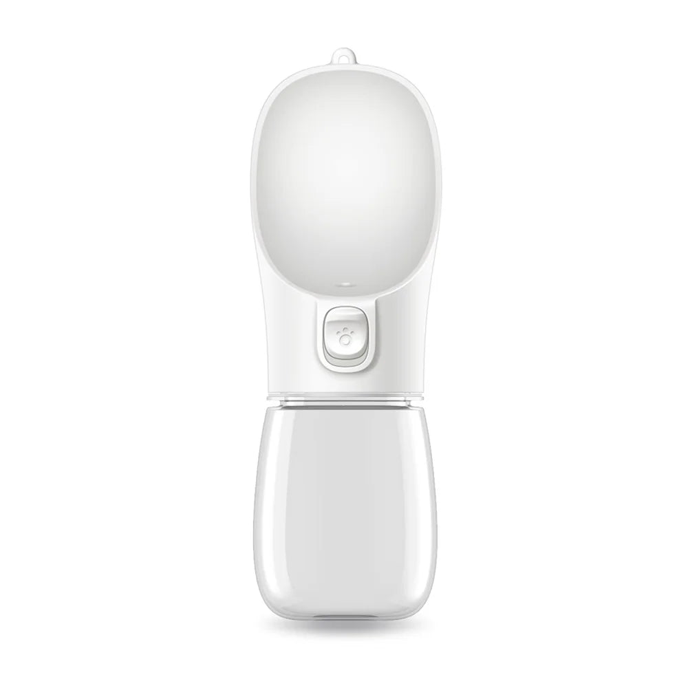 Travel Water Bottles