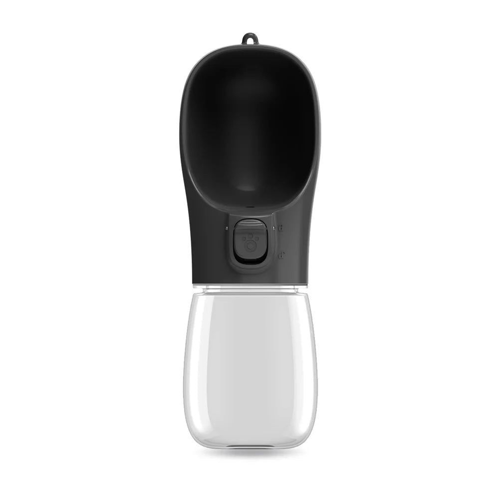 Travel Water Bottles