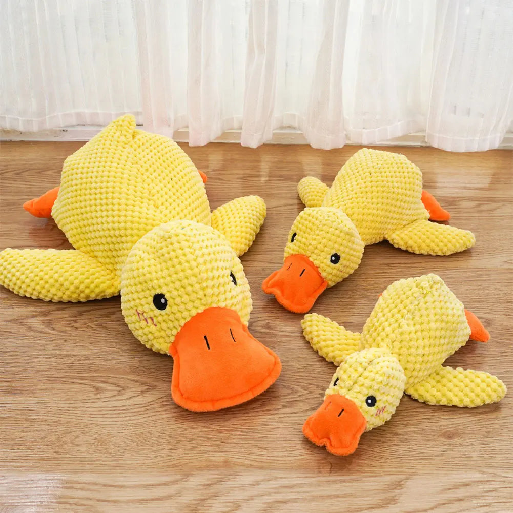 Dog Calming Duck
