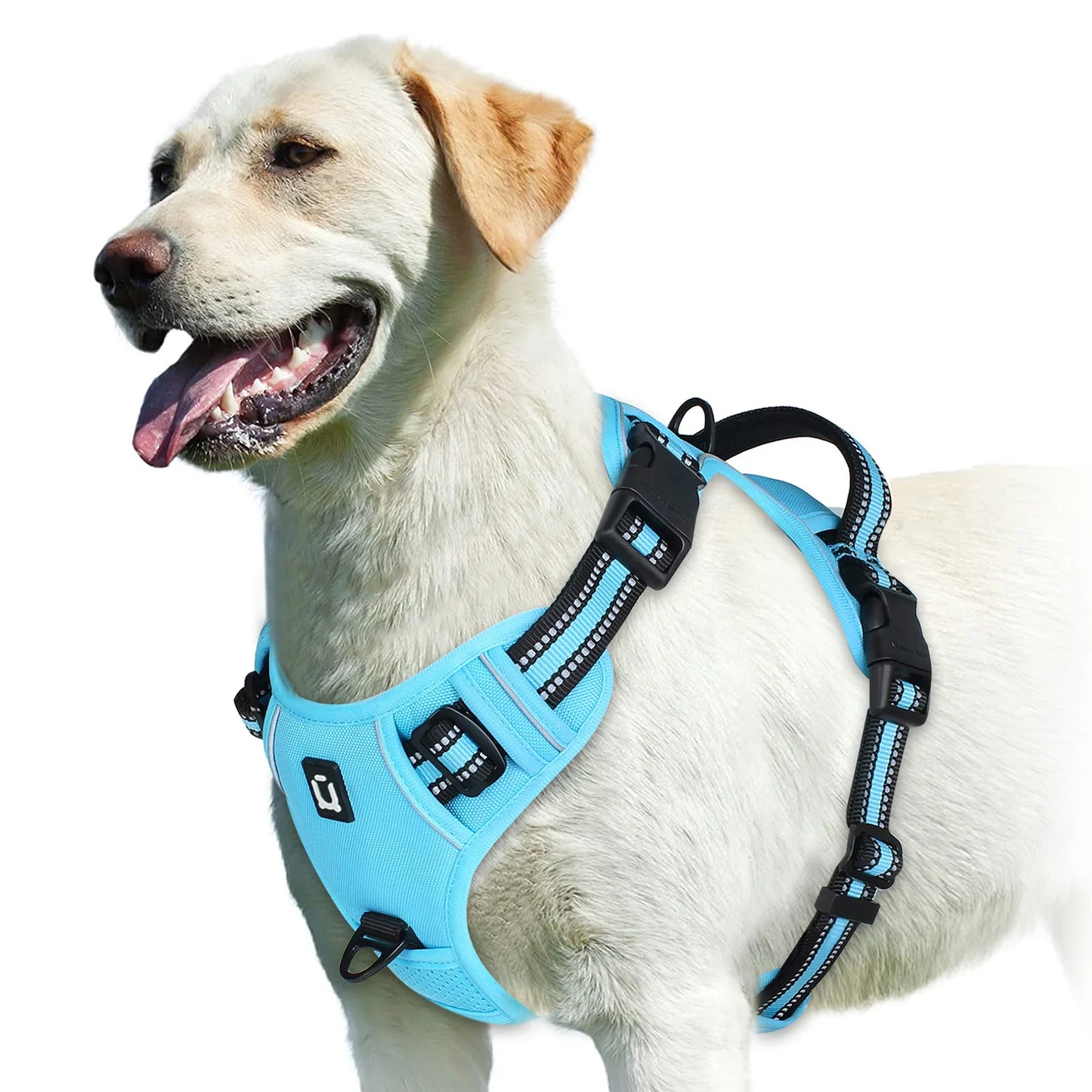 Adjustable No-Pull Dog Training Harness