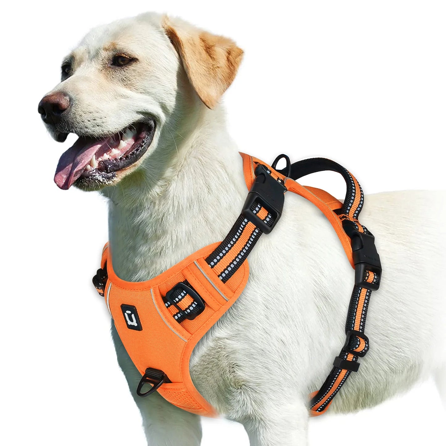 Adjustable No-Pull Dog Training Harness