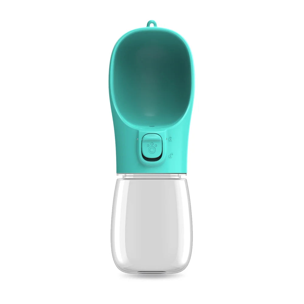 Travel Water Bottles