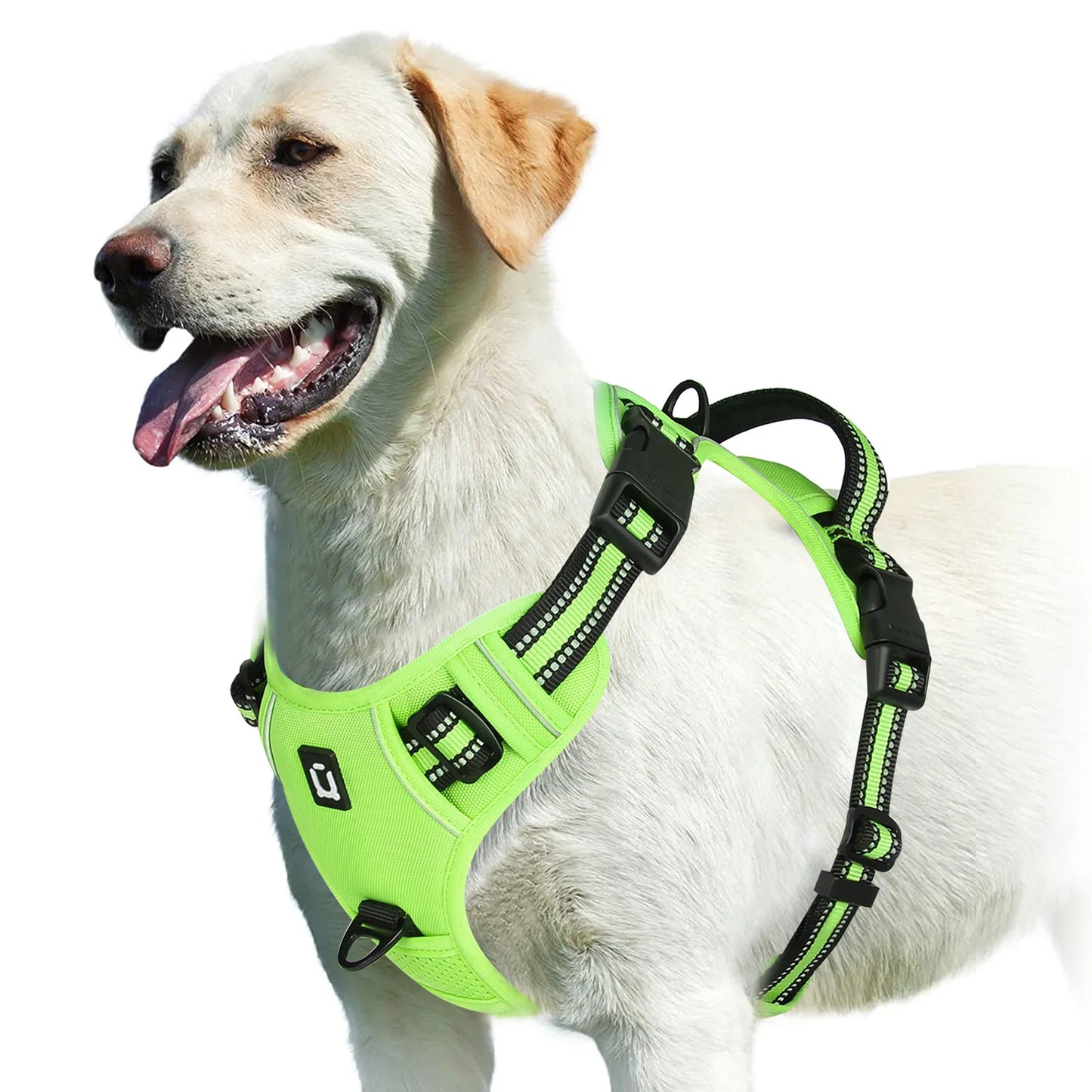 Adjustable No-Pull Dog Training Harness
