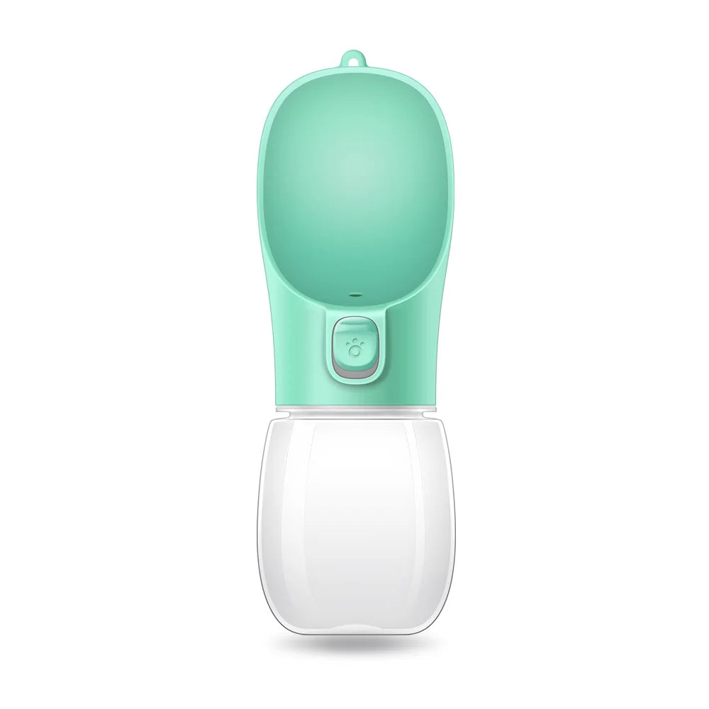 Travel Water Bottles