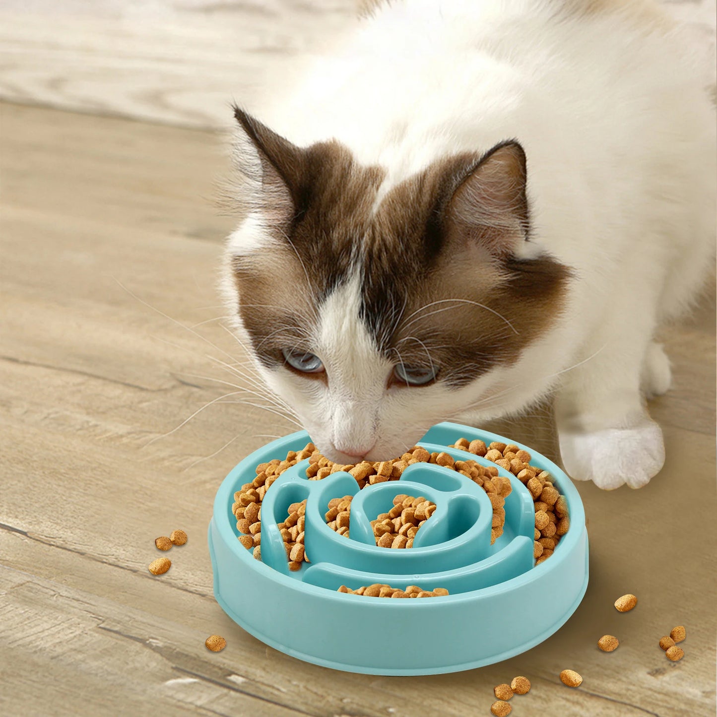 Slow Feeder Bowls