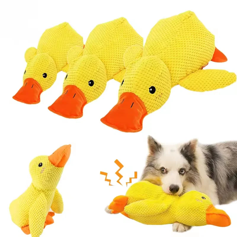 Dog Calming Duck