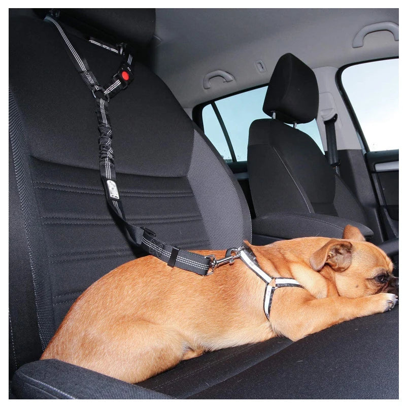 Two-in-one Dog Harness Leash