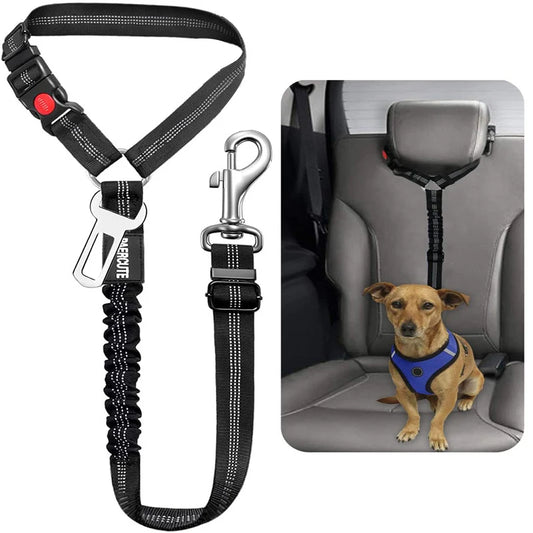 Two-in-one Dog Harness Leash