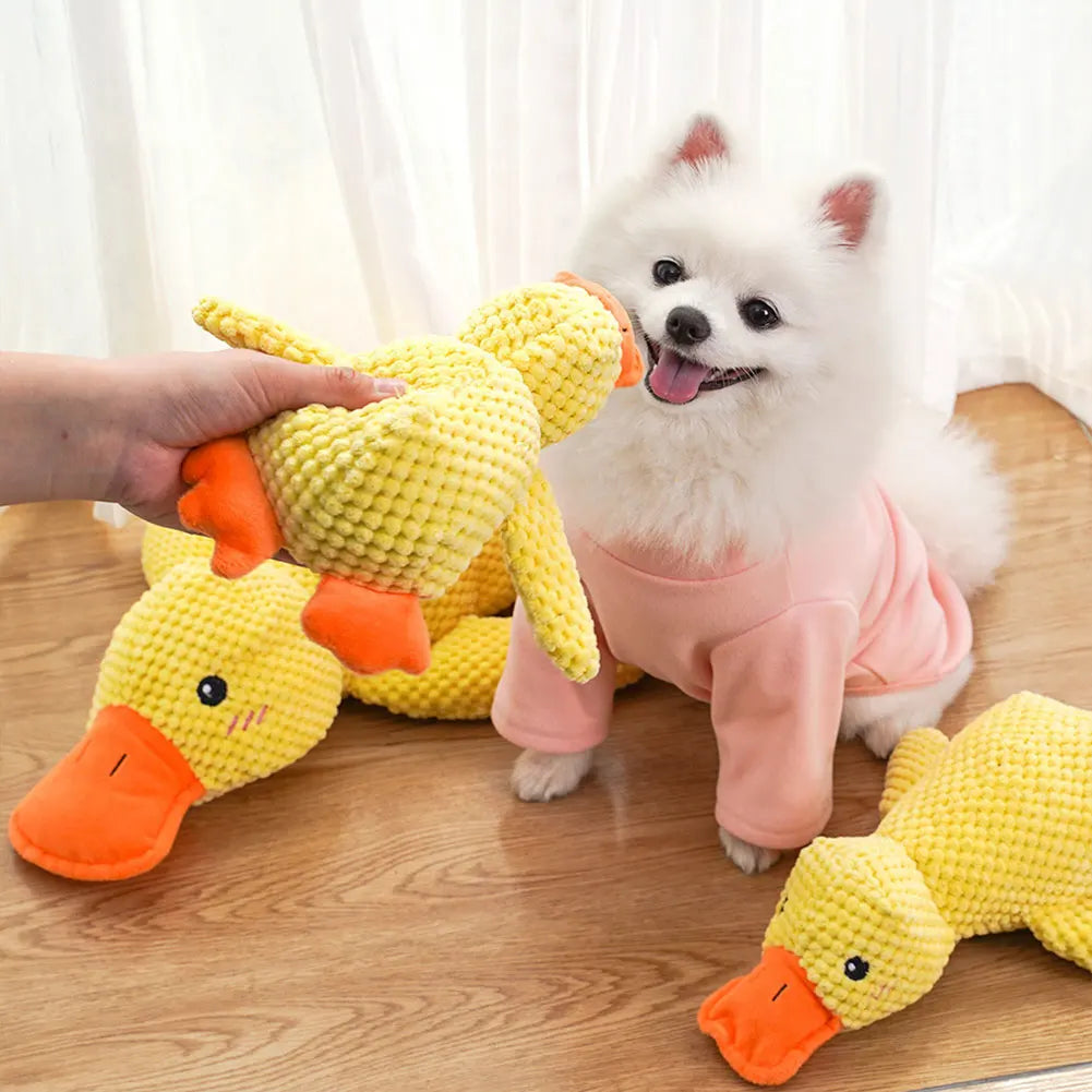 Dog Calming Duck