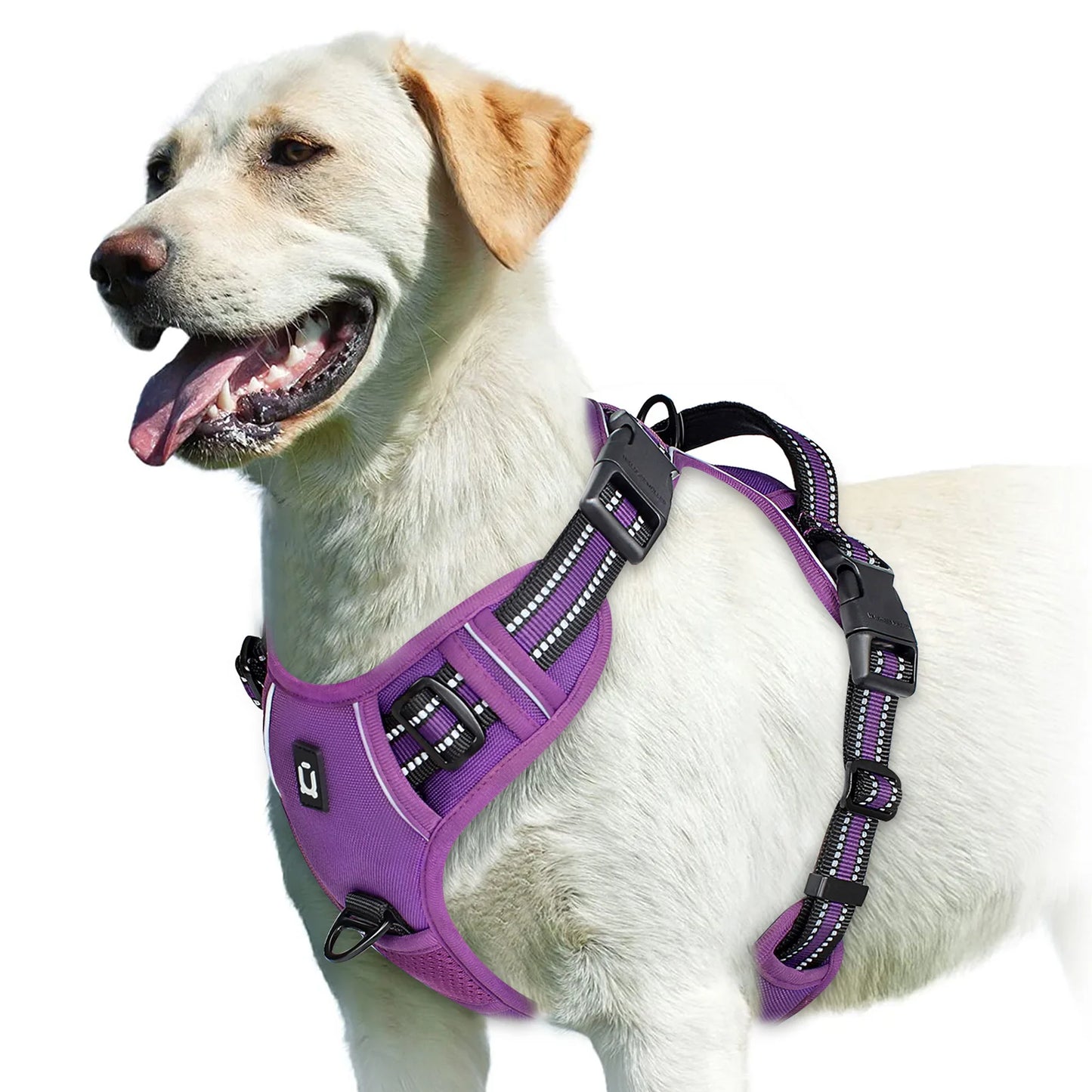 Adjustable No-Pull Dog Training Harness