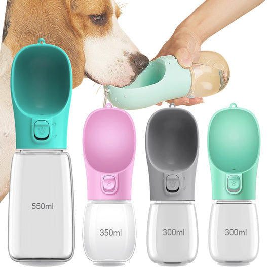 Travel Water Bottles