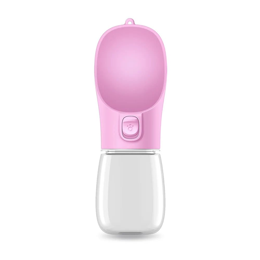 Travel Water Bottles