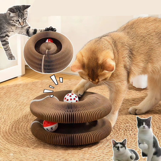 Purrfect Circle Scratch Pad