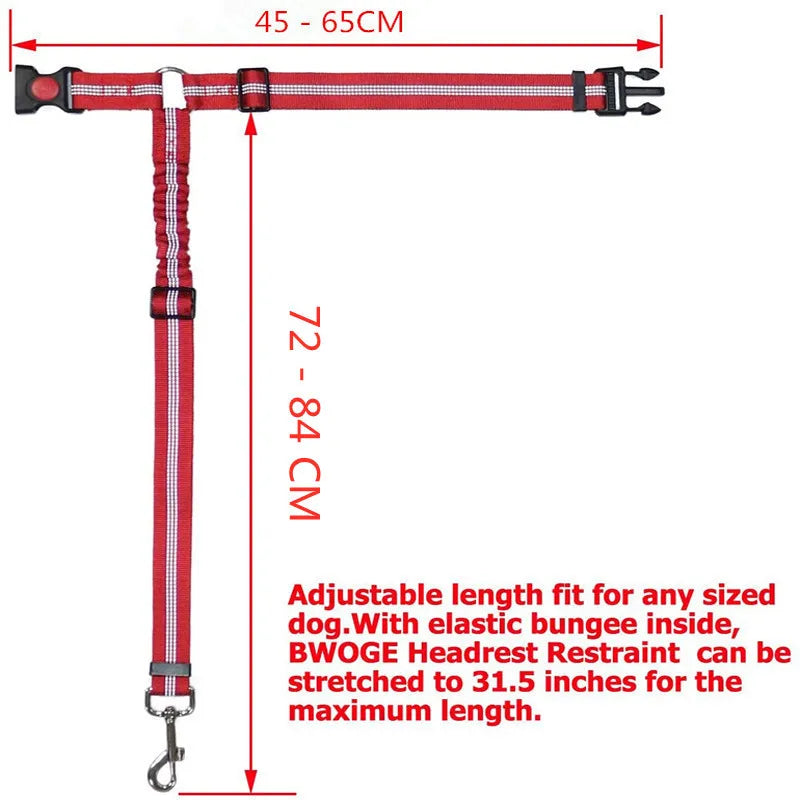 Two-in-one Dog Harness Leash