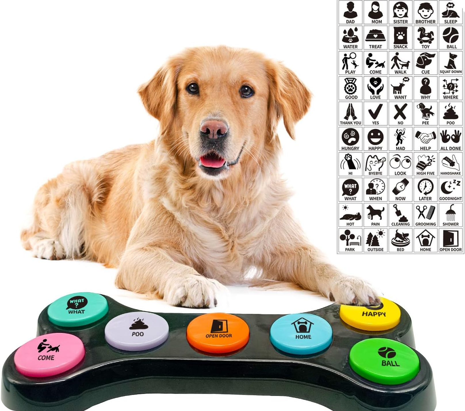 Dog Grooming